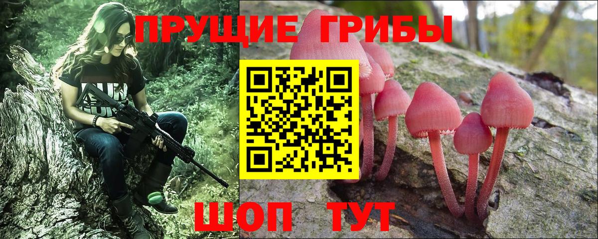 Псилоцибиновые грибы Cubensis Мценск