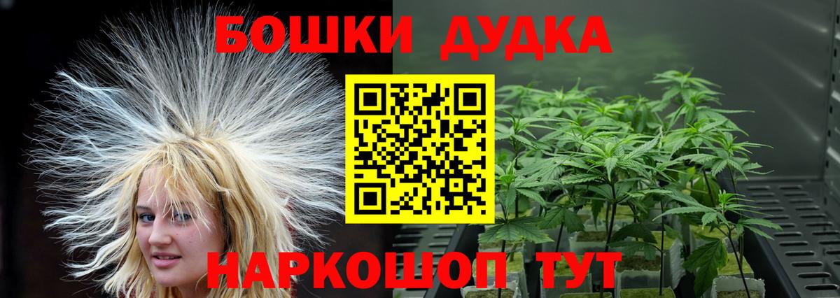 Каннабис план  Канабис Amnesia  Мценск  Марихуана SATIVA & INDICA  Вход с VPN 